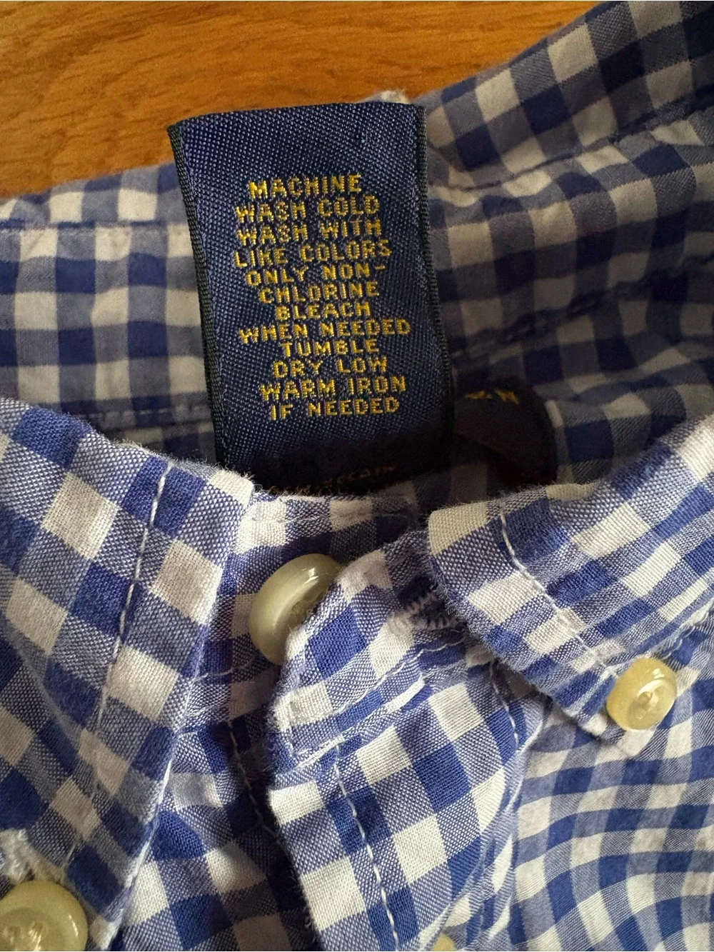 Ralph Lauren Blue and White Gingham Button-Down Shirt with Green Pony
